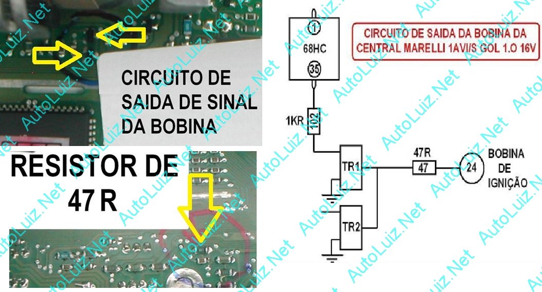 autoluizrv5b.jpg