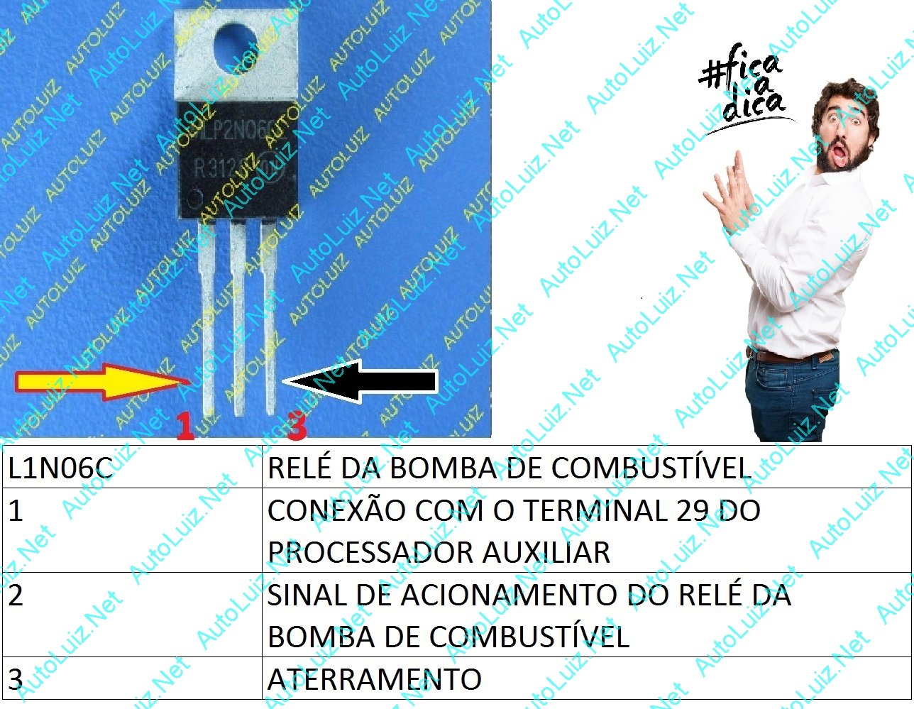 VW 1AVI 1AVS -RELE DE BOMBA - L1N06C.jpg