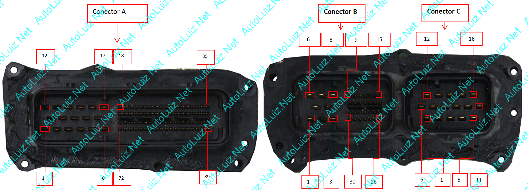 Ford_Edc7_Cummes4e6 conector a.png