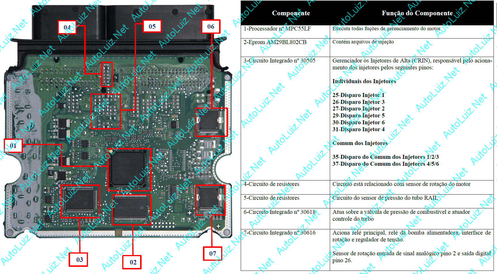 Volks_edc16c8 verso.png