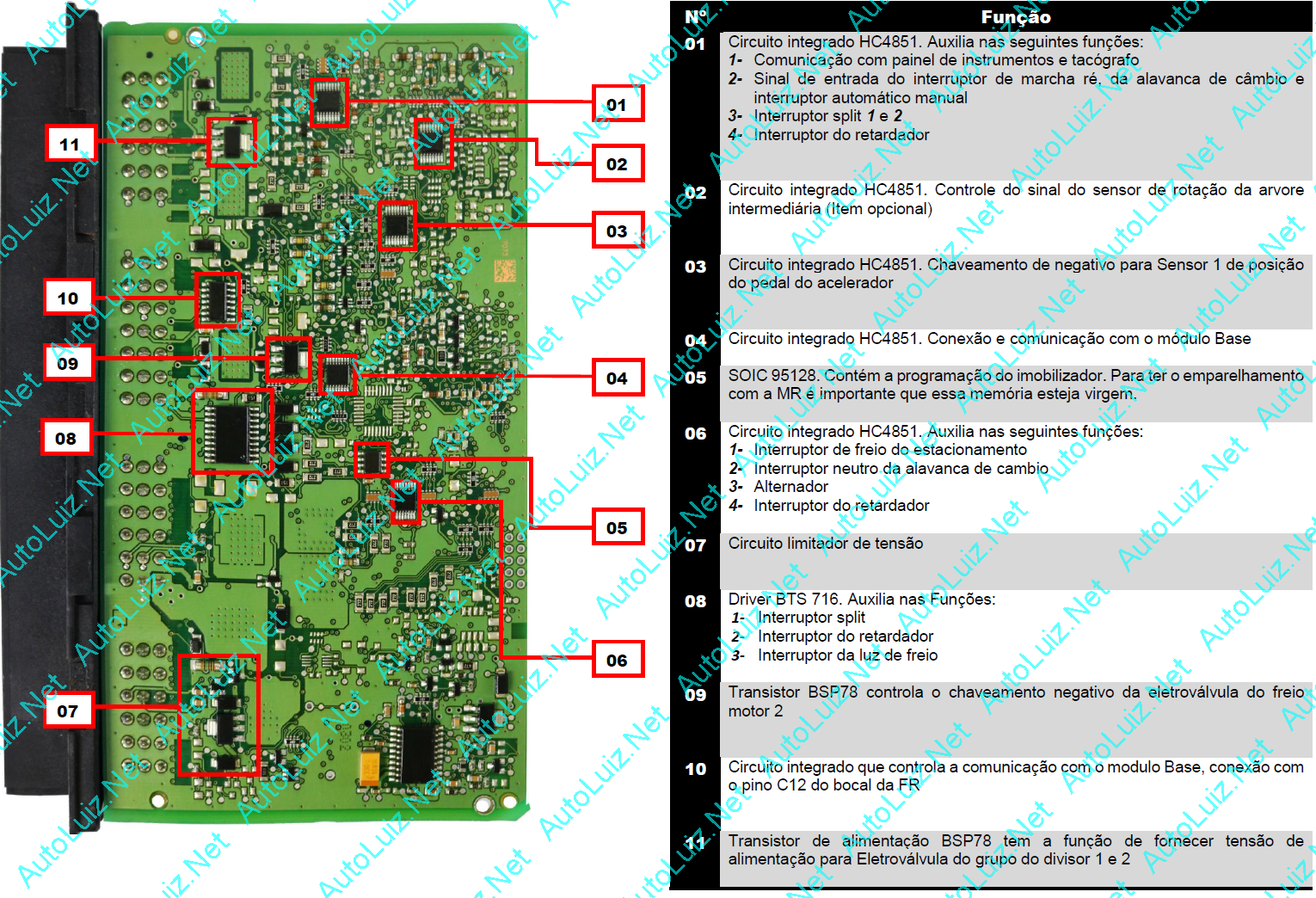 FR PLACA VERDE 21 FUNDO.png